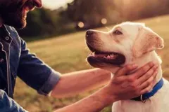 Jugar con tu perro mejora tu salud mental y reduce el estrés: Estudio