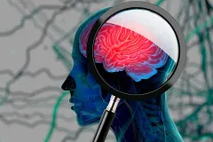 Descubren neuronas que podrían apagar el dolor crónico: un avance que cambia la neurociencia