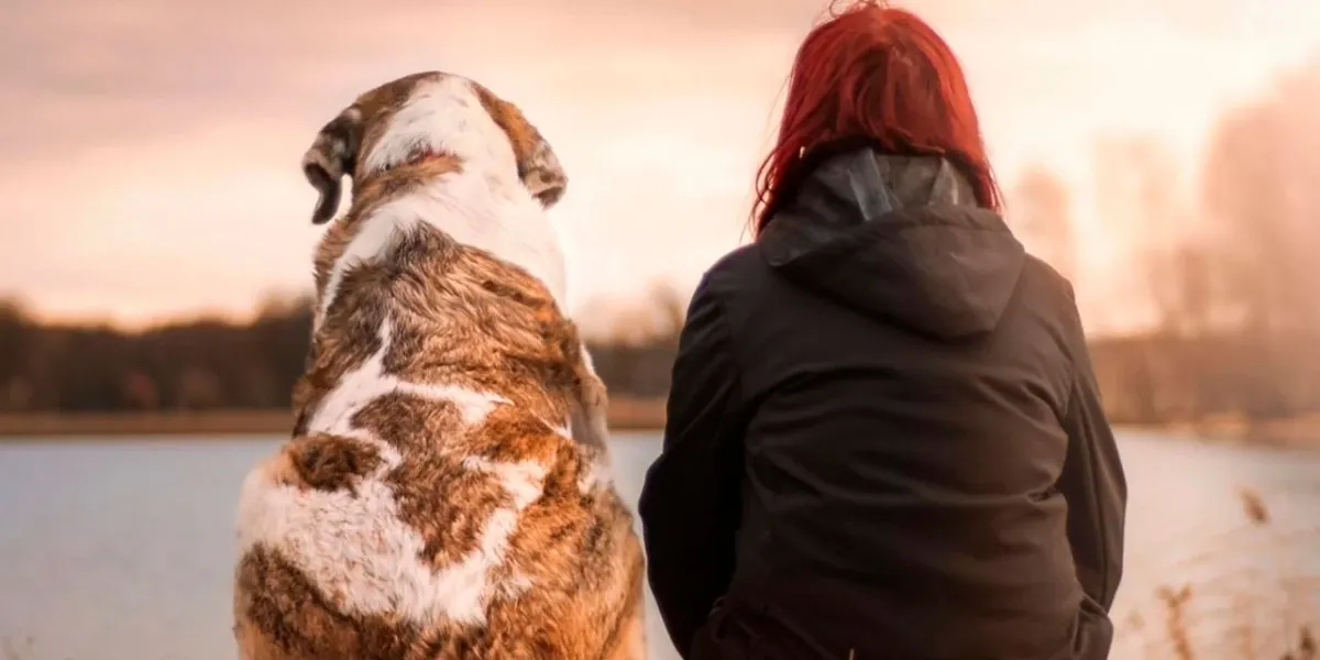 ¿Murió tu mascota? Proponen tres días de permiso laboral pagado