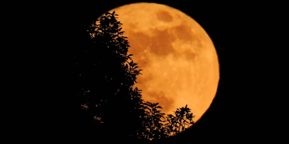 La Luna se teñirá de dorado HOY sábado: así podrás disfrutar la Luna de la Cosecha