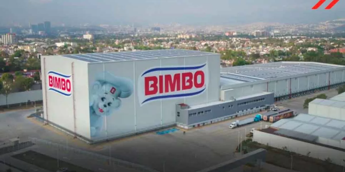 Trabajador de BIMBO es hallado muerto en contenedor de harina; permaneció más de 24 horas en el lugar