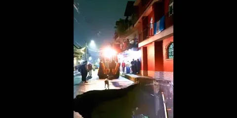 Perrito cae a enorme socavón en Guatemala y alcalde lo rescata con vida. VIDEO 