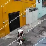 VIDEO. Perro ataca a niño en Iztapalapa y vecinos lo rescatan; menor ya fue dado de alta