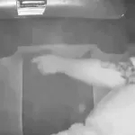 Padre repele ataque armado de tres secuestradores, hay un muerto. VIDEO
