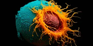 Uno de cada ocho cánceres está ligado a infecciones que pueden prevenirse