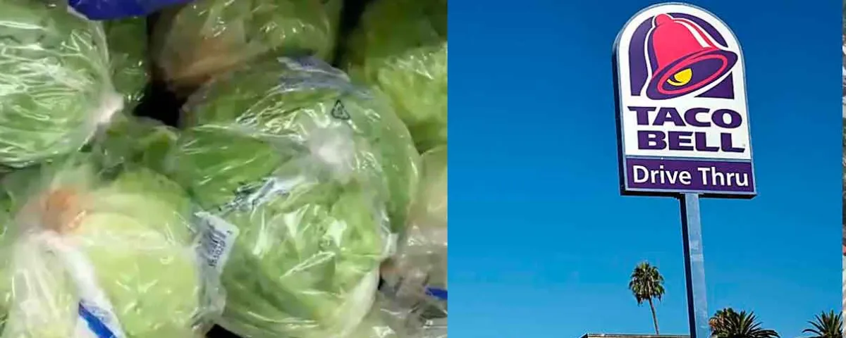 EU vincula brote de ciclosporiasis con lechuga mexicana: Taco Bell retira el producto
