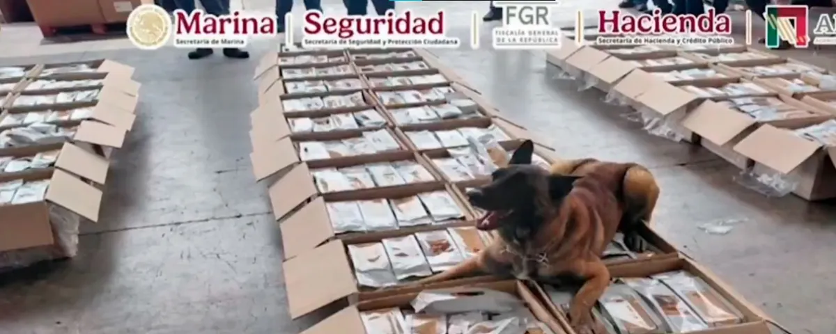 Binomio canino detecta una tonelada de café con presunta cocaína en el AICM