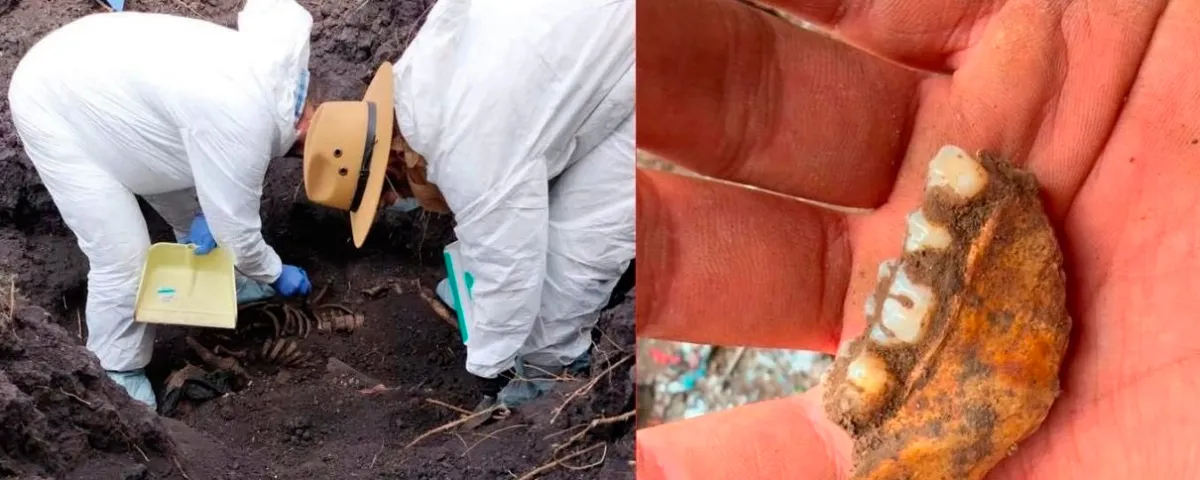 Madres buscadoras reportan mil 600 dientes de leche en fosa de Michoacán ¿De quién son y como murieron?